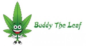 buddytheleaf